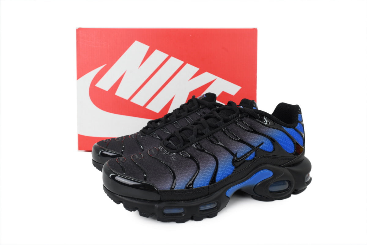 Nike Air Max Plus Sneakers | EU 39¨C47.5