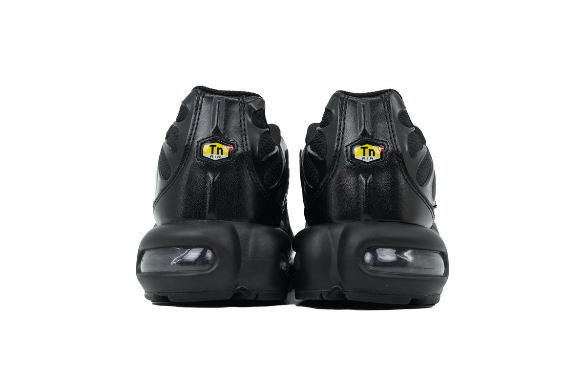 Nike Air Max Plus Sneakers | EU 39¨C47.5