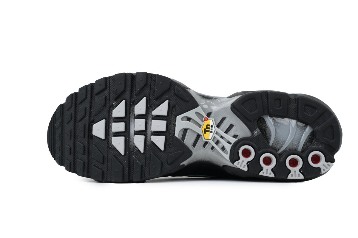Nike Air Max Plus Sneakers | EU 39¨C47.5